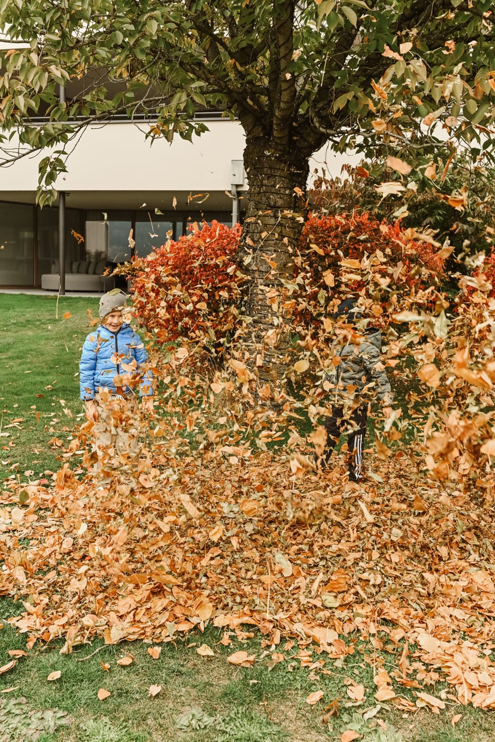 Aprilspecial 7=6 & -10%