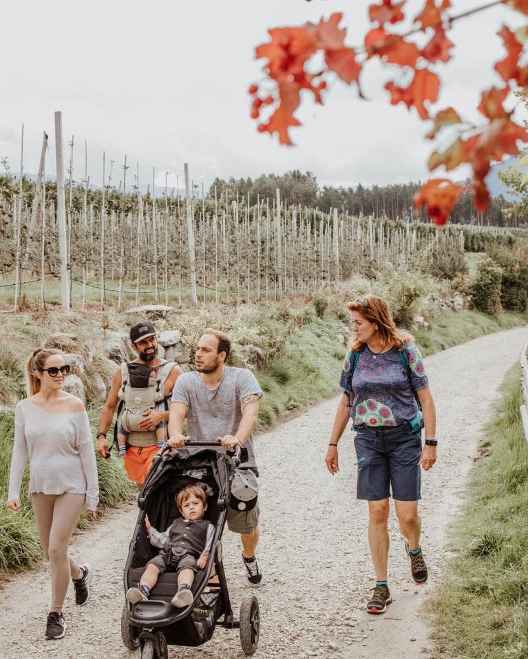 Herbst-Aktion: 5 % Rabatt mit Code autumn5
